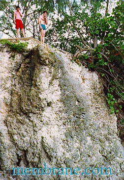 cliff diving in Jamaica